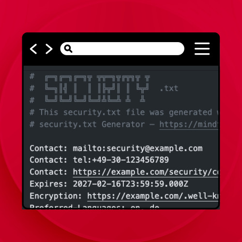 What is the security.txt and why is it important for companies?