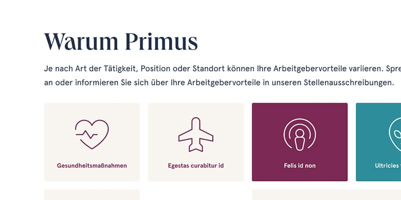Primus Services Business/HR Website #10